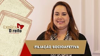 Explica Direito Filiação Socioafetiva  2019 [upl. by Etnor]